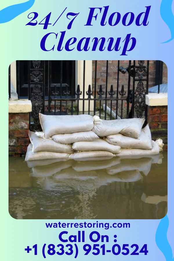 24/7 Flood Cleanup in Everetts, NC