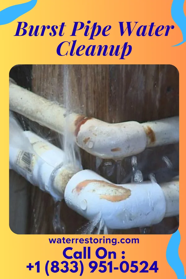 Burst Pipe Water Cleanup in Everetts, NC