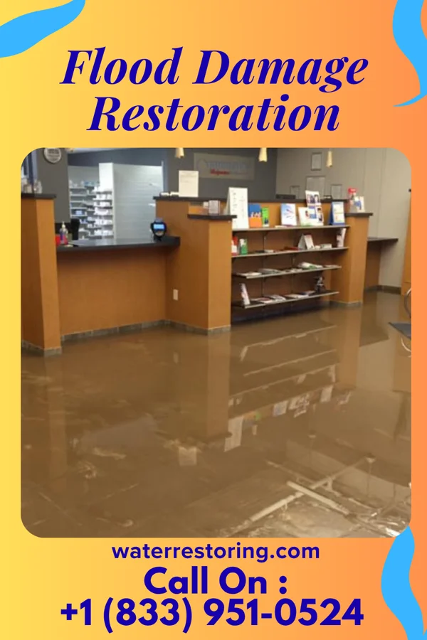 Flood Damage Restoration in Everetts, NC