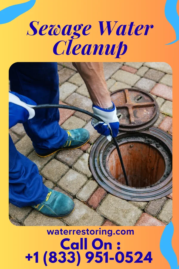 Sewage Water Cleanup in Everetts, NC